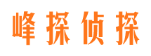 眉山市侦探调查公司